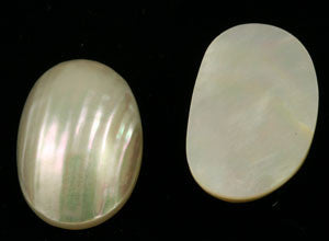 Domed Shell Cabochon - the larger version