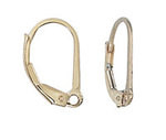 14K Gold Filled Leverbacks