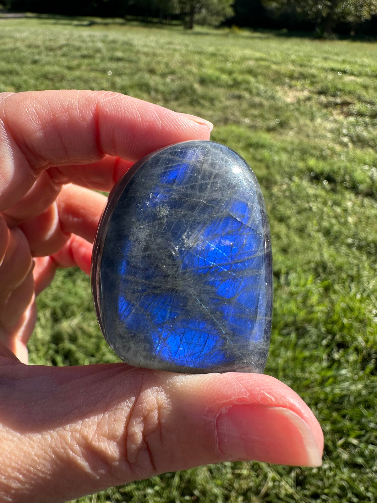 Blue Flash Labradorite Mini Boulder Freeform Display Stone #NC7976