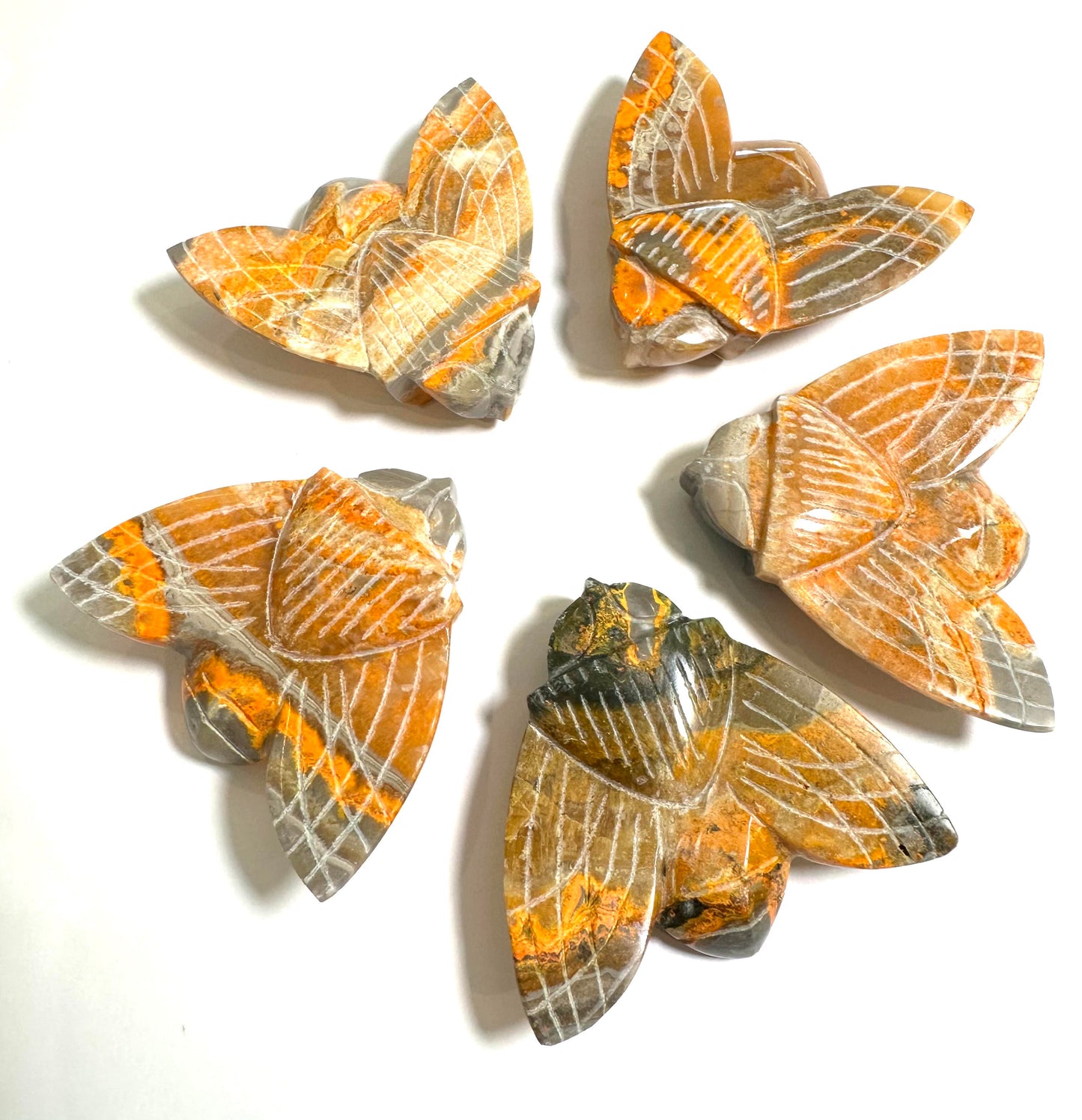 Intuitively Chosen Hand Carved Bumblebee Jasper Bee from Indonesia #NC7700