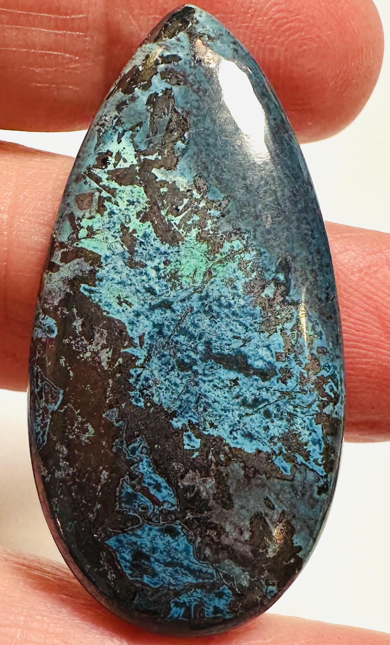 Azurite and Chrysocolla Cabochons SP7829 A-D