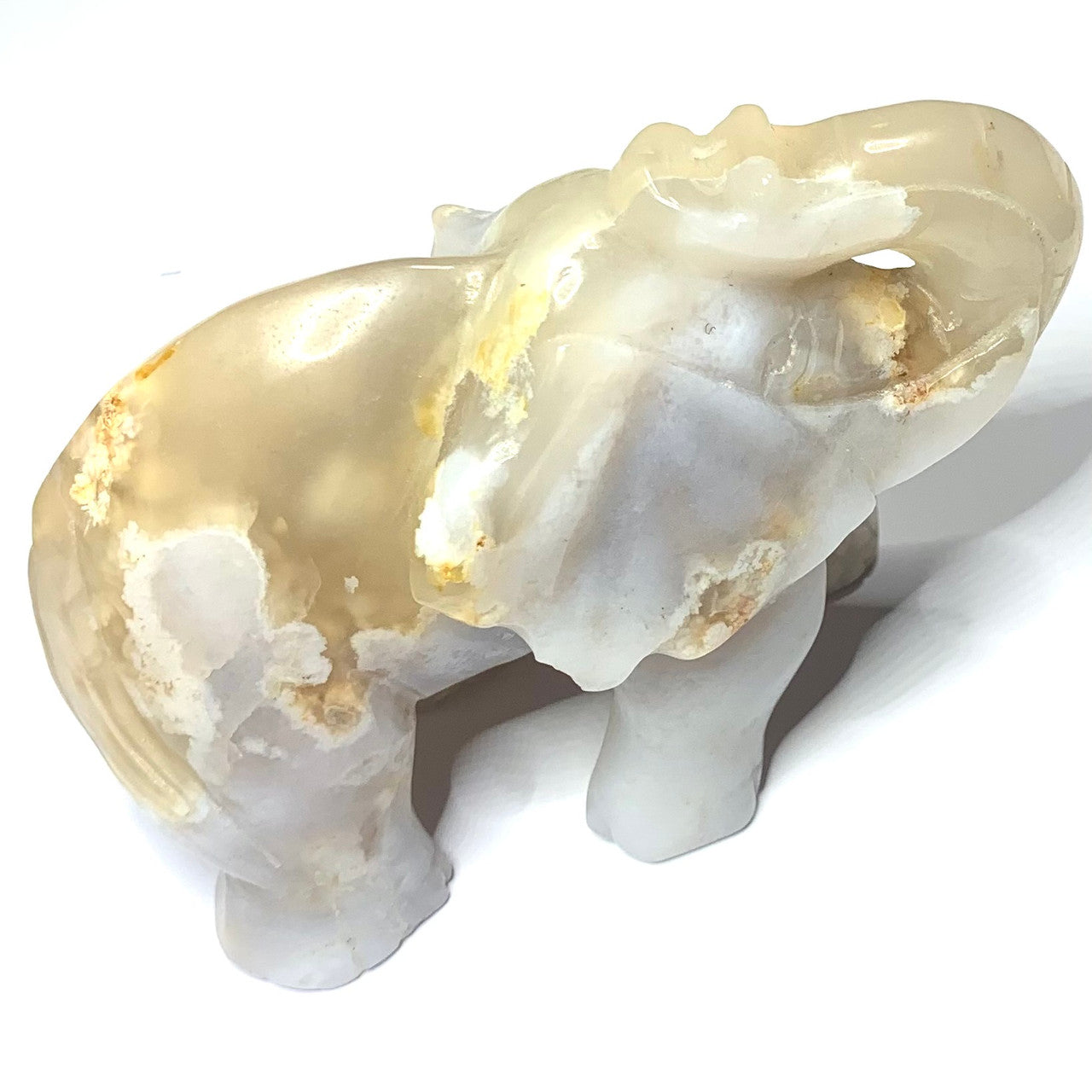 One of a Kind Flower Agate Elephant Stone-4 1/2 x 3" (NC4554)