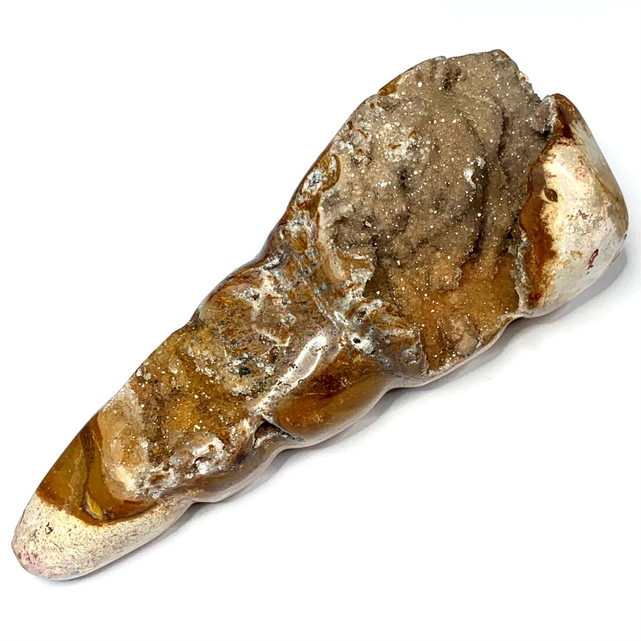 One of a Kind Agate Druzy Carved Conch Shell-3 1/2 x 1 1/2" (NC4608)