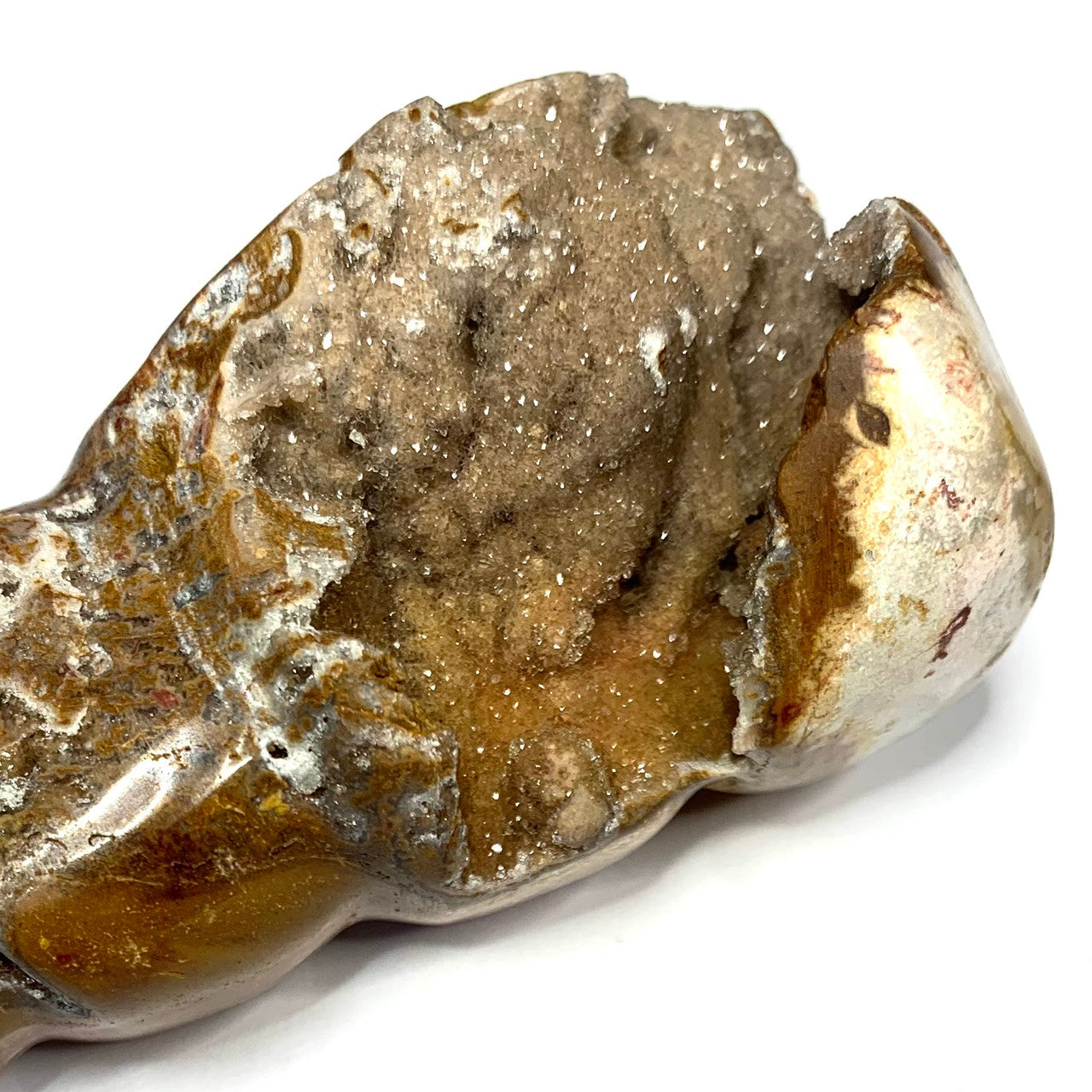 One of a Kind Agate Druzy Carved Conch Shell-3 1/2 x 1 1/2" (NC4608)