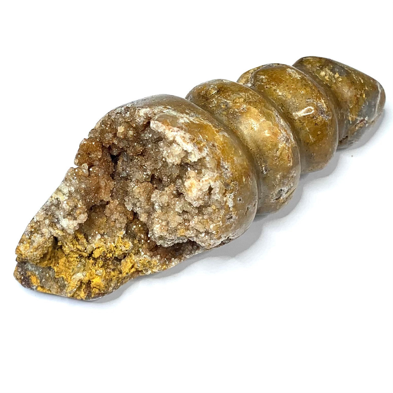 One of a Kind Agate Druzy Carved Conch Shell-3 3/4 x 3 1/2" (NC4609)