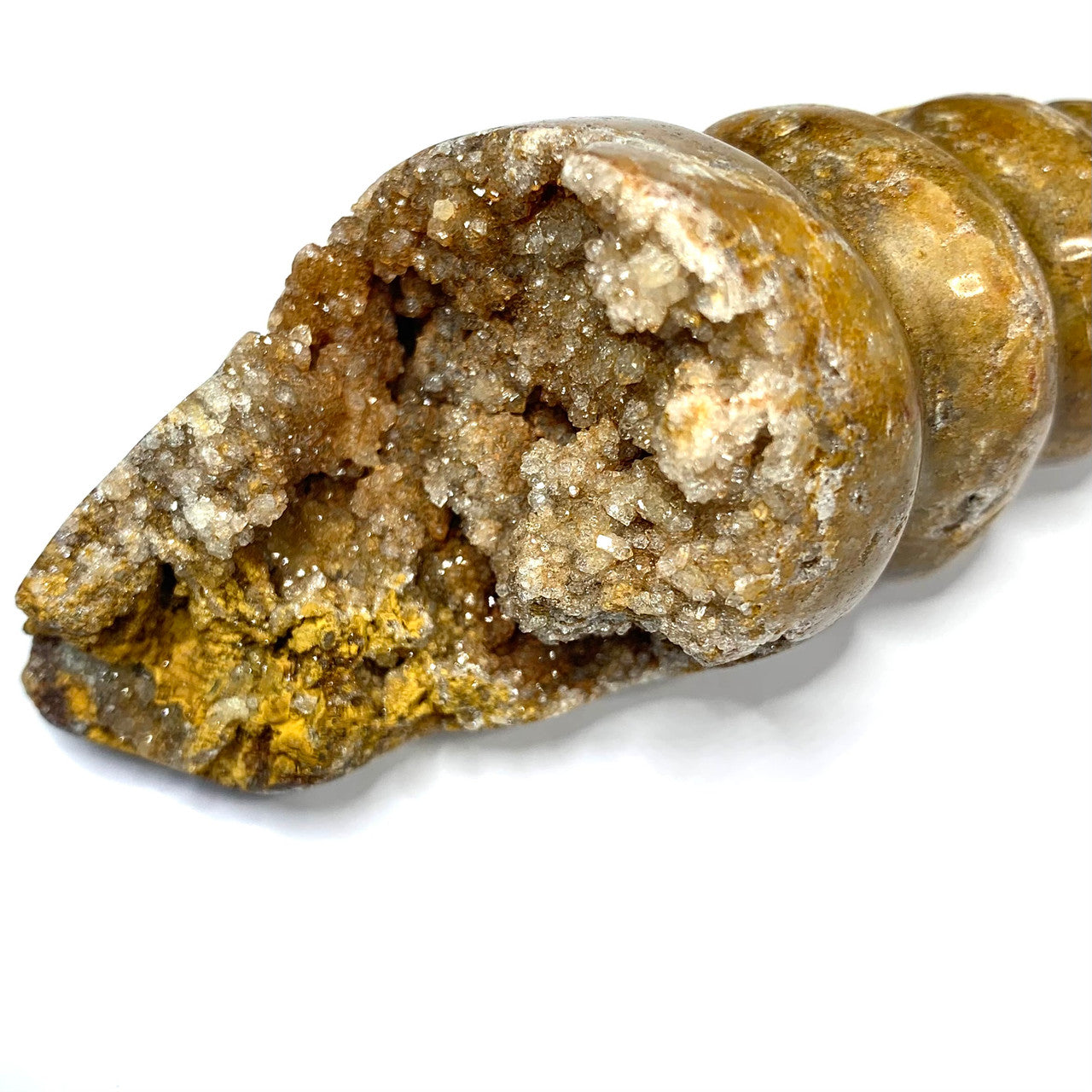 One of a Kind Agate Druzy Carved Conch Shell-3 3/4 x 3 1/2" (NC4609)