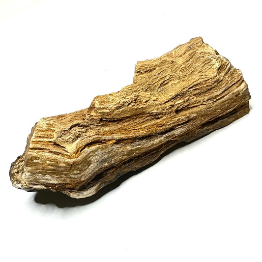 Kind Sugar Druzy Petrified Wood Specimen-4 1/2 x 1 3/4"-NC7339