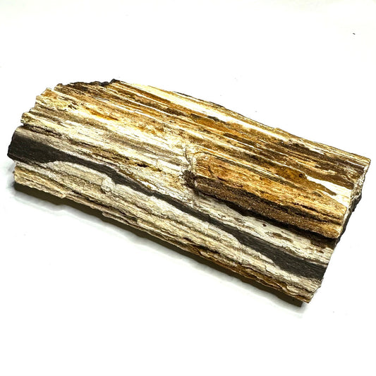 Sugar Druzy Petrified Wood Specimen-5 x 2 1/4"-NC7341