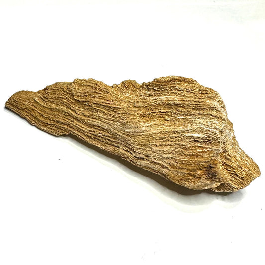 Sugar Druzy Petrified Wood Specimen-4 1/2 x 1 3/4"-NC7342