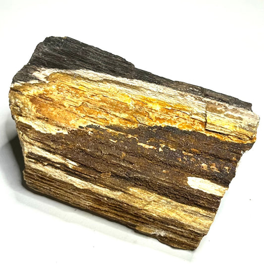 Kind Sugar Druzy Petrified Wood Specimen-4 x 2 1/2"-NC7344
