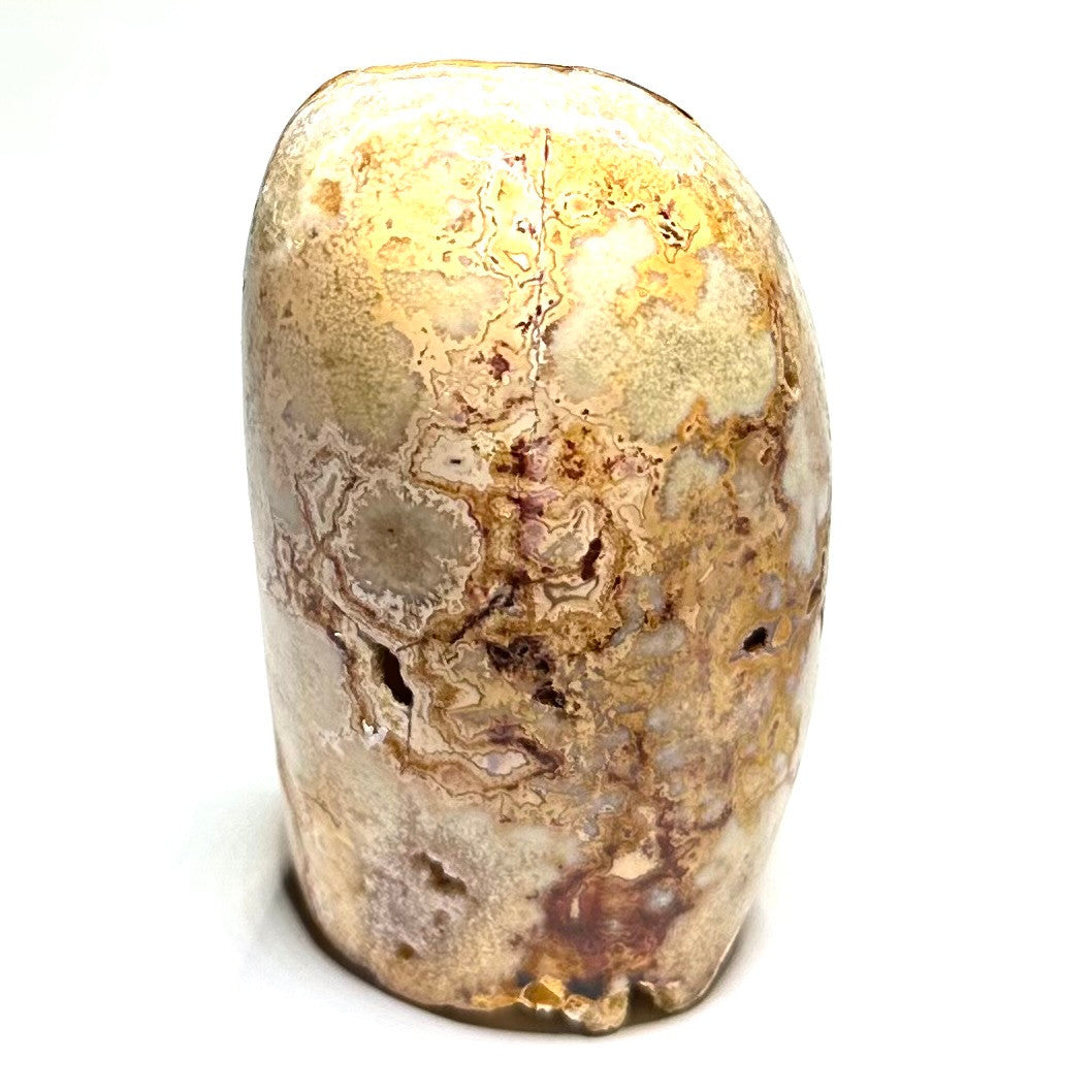 One of a Kind Crazy Lace Agate Stone-2 3/4 x 1 1/2" (NC6018)