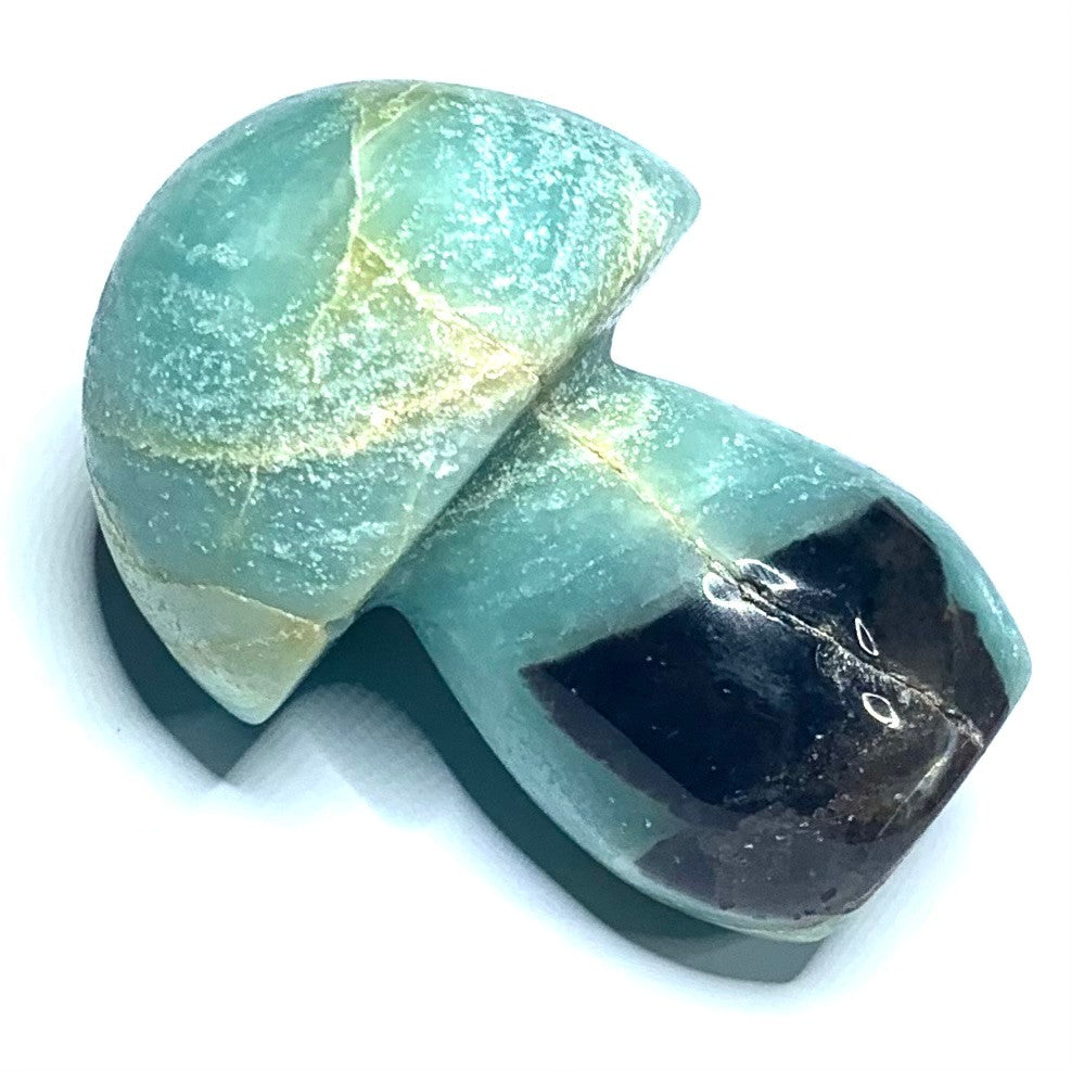 One of a Kind Amazonite Carved Mushroom Stone-2 1/4 x 1 1/2" (NC4688)