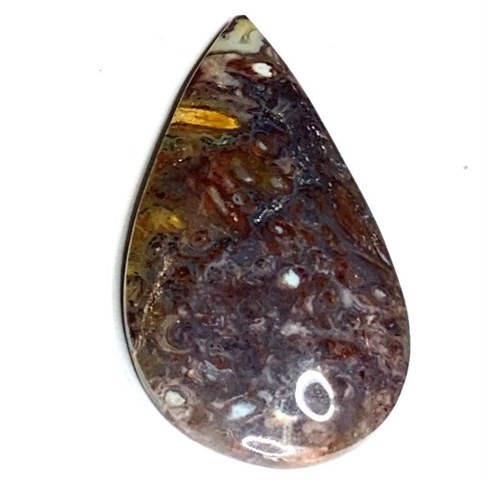 One of a Kind Stromatolite Fossil Cabochon-42 x 22mm (CAB4743)