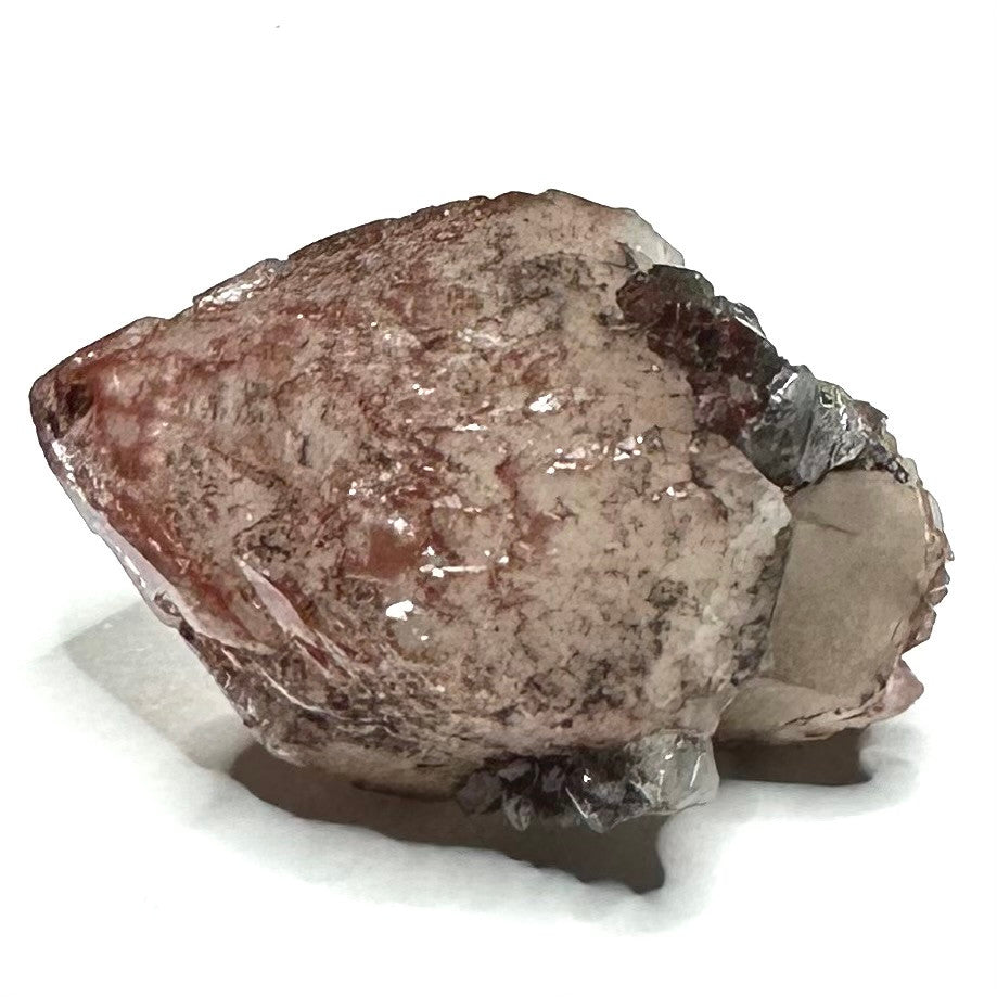 Red Hematite with Lithium Quartz Crystal Scepter Cluster-1 1/2 x 1"-NC7427