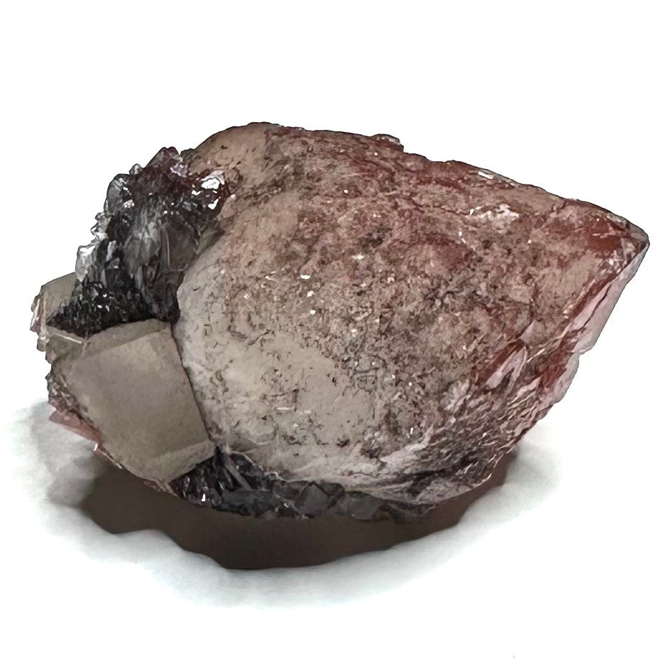 Red Hematite with Lithium Quartz Crystal Scepter Cluster-1 1/2 x 1"-NC7427