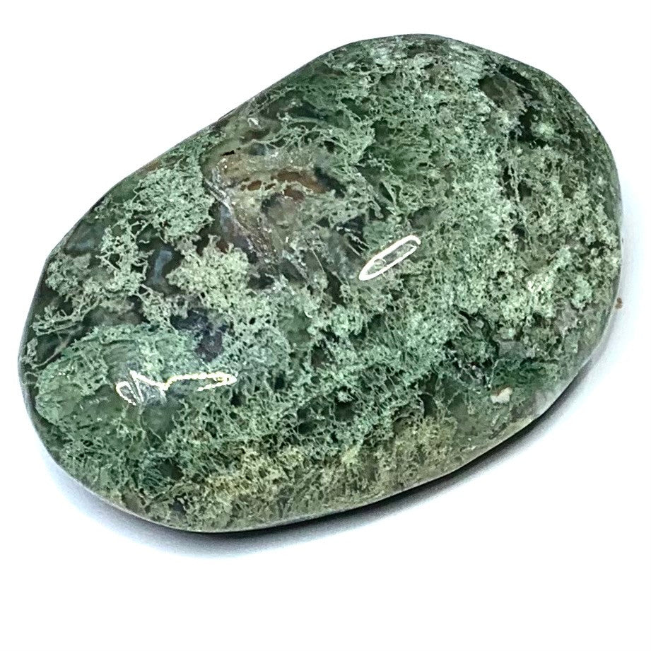 One of a Kind Moss Agate Druzy Palm Stone-2 1/4 x 1 1/2" (NC4768)