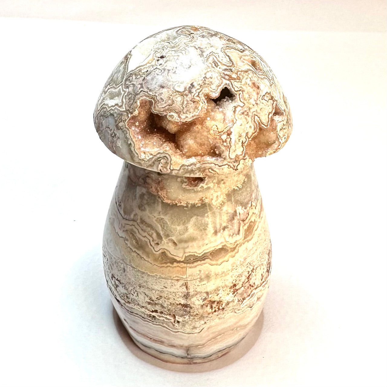 One of a Kind Crazy Lace Agate Druzy Mushroom Stone-3 x 1 1/2" (NC5229)