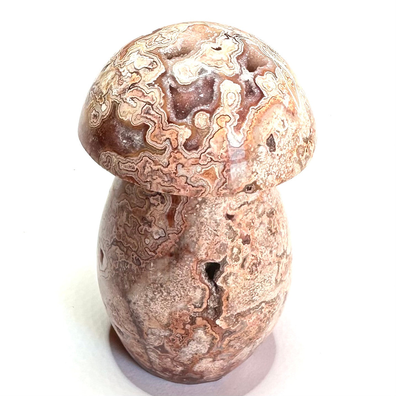 One of a Kind Crazy Lace Agate Druzy Mushroom Stone-2 3/4 x 1 1/4" (NC5231)