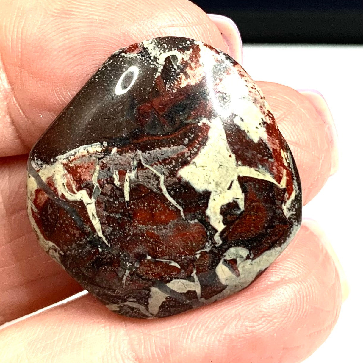 One of a Kind Red Creek Jasper Free Form Cabochon-28 x 27mm-CAB3473 (CAB3473)