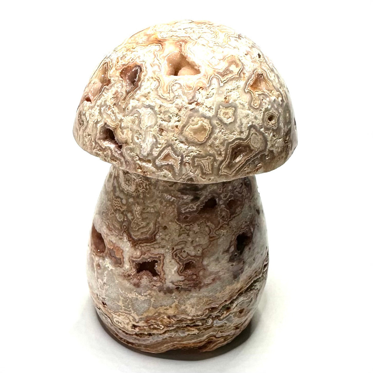 One of a Kind Crazy Lace Agate Mushroom Stone-2 3/4 x 1 1/2" (NC5246)