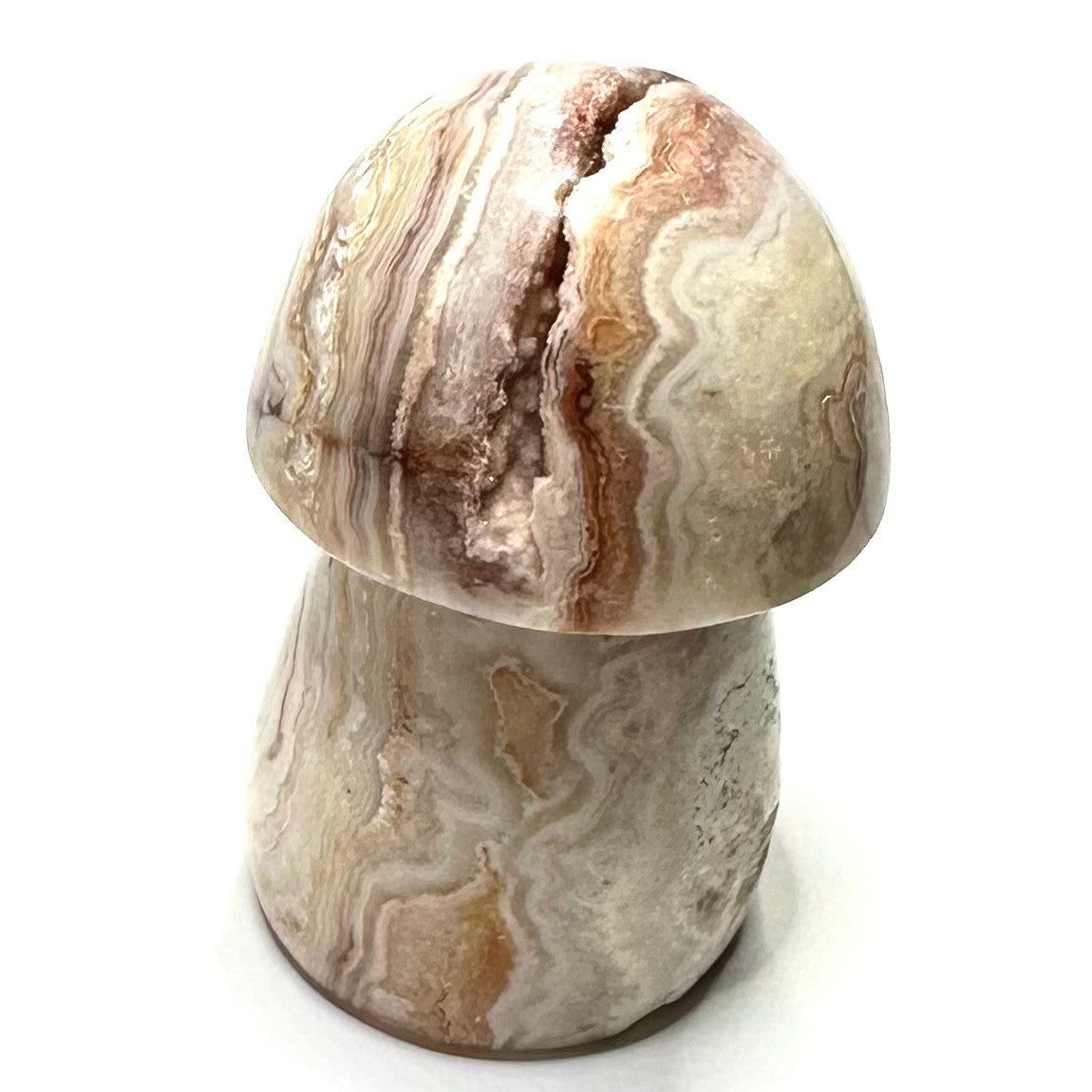 One of a Kind Crazy Lace Agate Mushroom Stone-2 3/4 x 1 1/2"-NC5247 (NC5247)