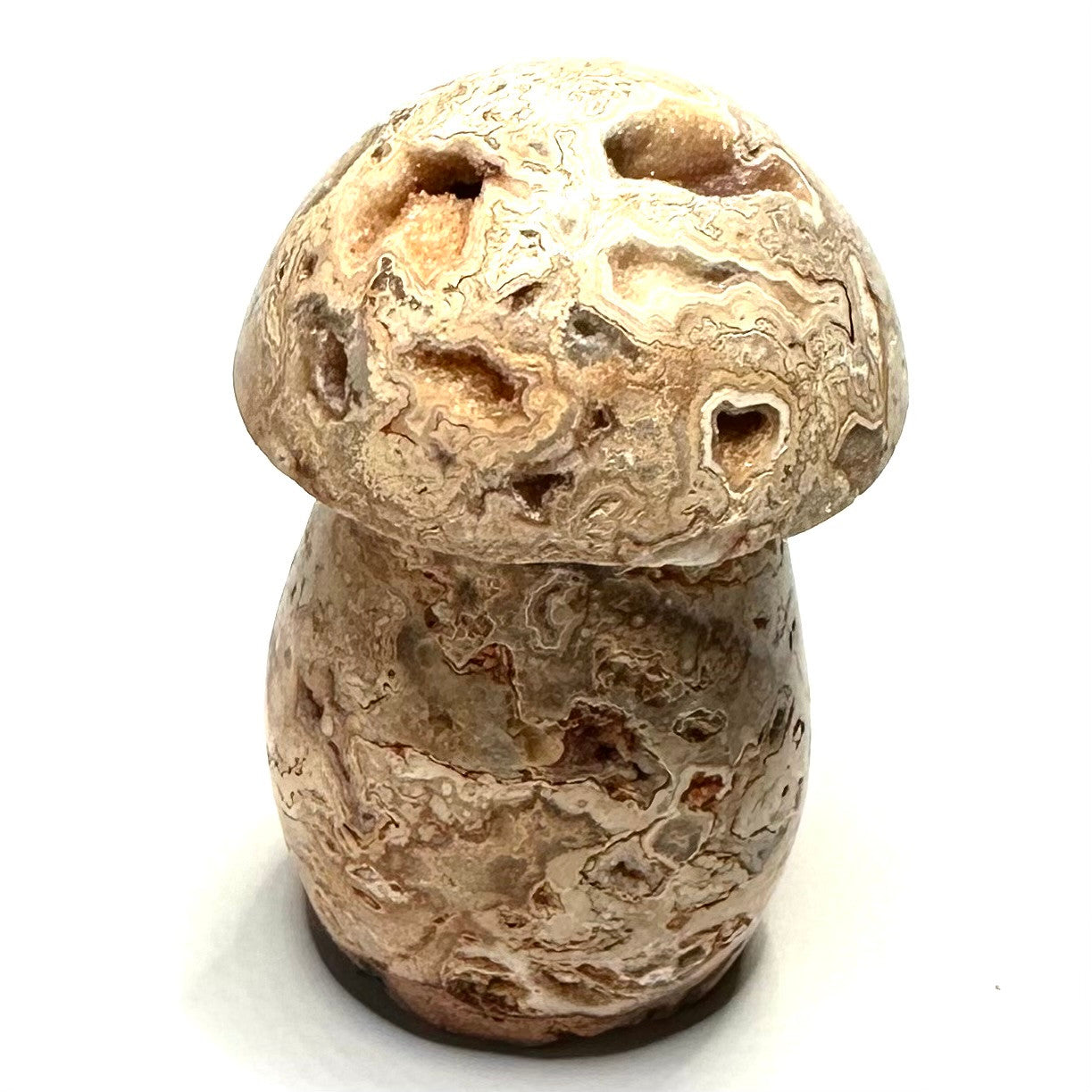 One of a Kind Crazy Lace Agate Mushroom Stone-2 3/4 x 1 1/4" (NC5249)