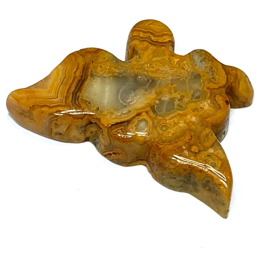 One of a Kind Carved Crazy Lace Agate Soaring Bird Cabochon-48 x 30mm (CAB4820)