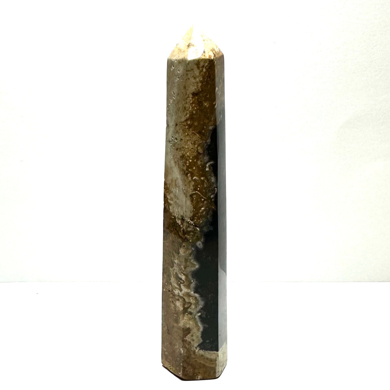 One of a Kind Fossilized Palm Root Stone Tower-4 x 3/4"-NC5284 (NC5284)