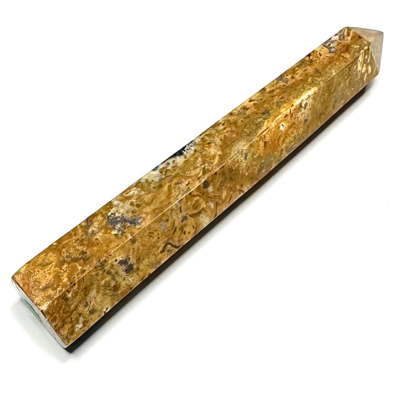 One of a Kind Fossilized Palm Root Stone Tower-4 1/2 x 1" (NC5287)