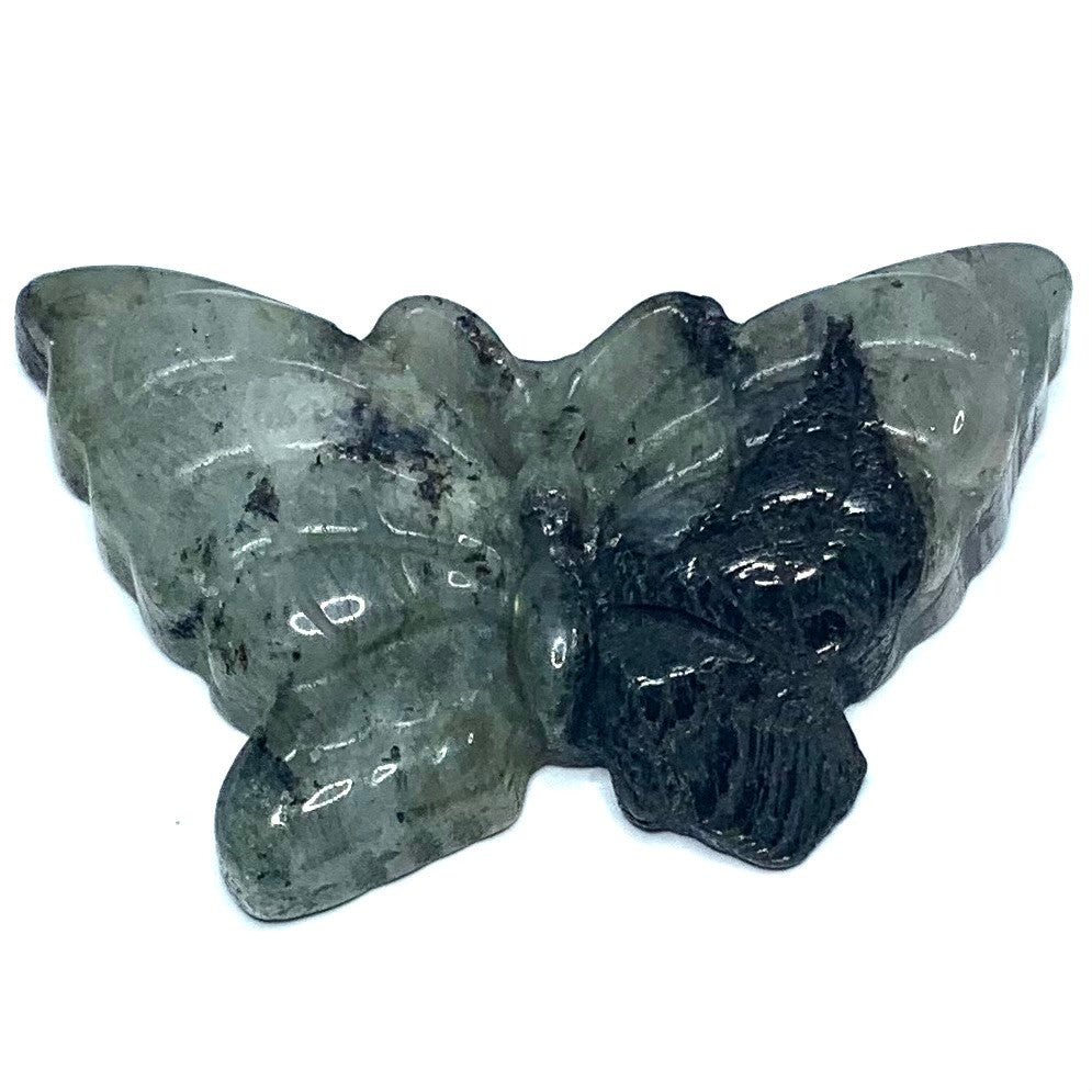 One of a Kind Carved Labradorite Butterfly Cabochon-52 x 32mm