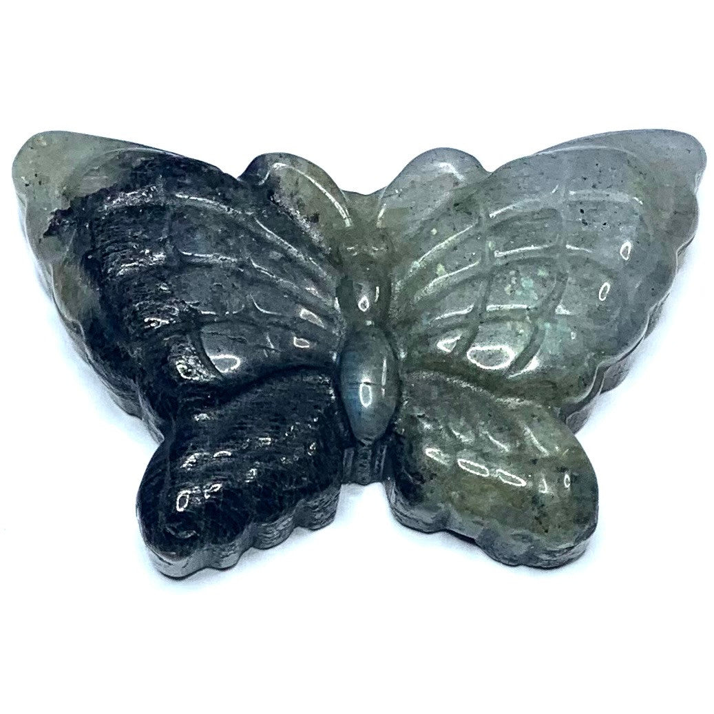 One of a Kind Carved Labradorite Butterfly Cabochon-53 x 33mm (CAB4920)