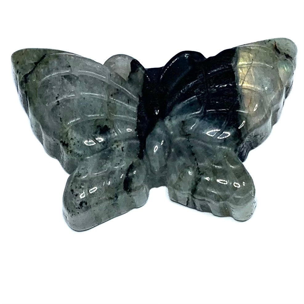 One of a Kind Carved Labradorite Butterfly Cabochon-53 x 33mm-CAB4922 (CAB4922)