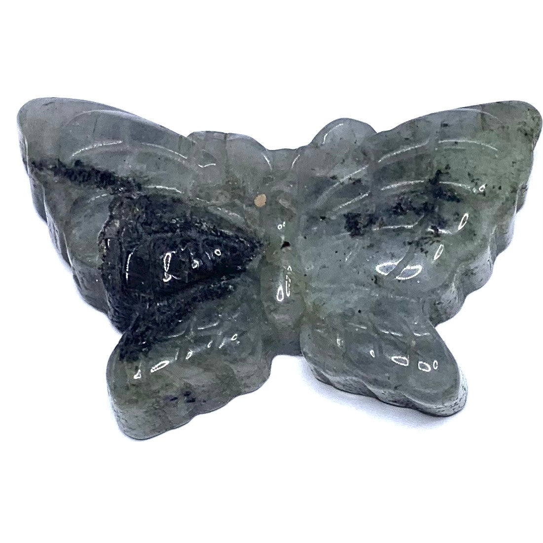 One of a Kind Carved Labradorite Butterfly Cabochon-51 x 32mm (CAB4924)