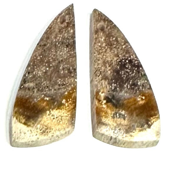 RARE-One of a Kind Petrified Palm Wood Earring/Pendant Pair-23 x 11m