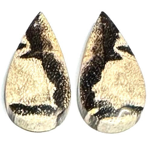 RARE-One of a Kind Petrified Palm Wood Earring/Pendant Pair-26 x 14mm