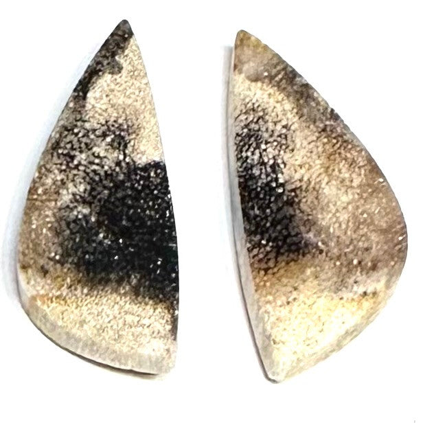 RARE-One of a Kind Petrified Palm Wood Earring/Pendant Pair-25 x 11mm