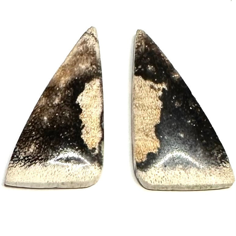 RARE-One of a Kind Petrified Palm Wood Earring/Pendant Pair-26 x 14mm-SP6436