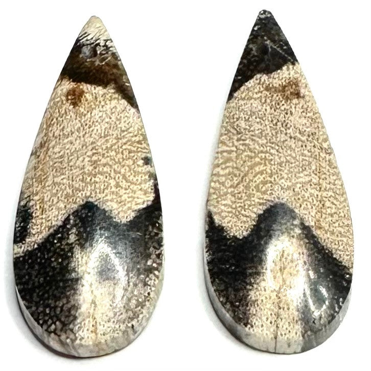 RARE-One of a Kind Petrified Palm Wood Earring/Pendant Pair-28 x 12mm