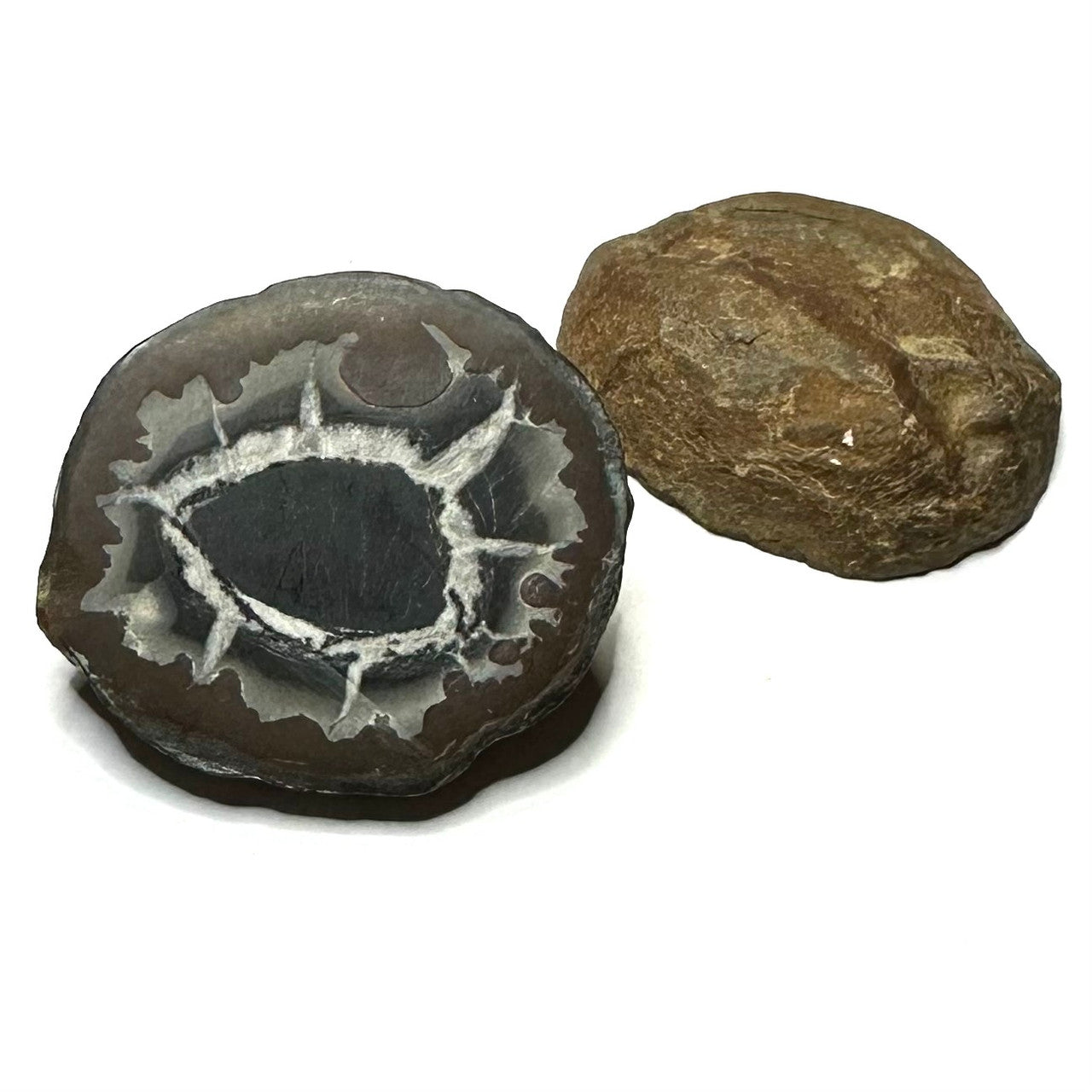 One of a Kind Septarian Nodule Geode "Dragonstone" Pair-38mm (NC5465)