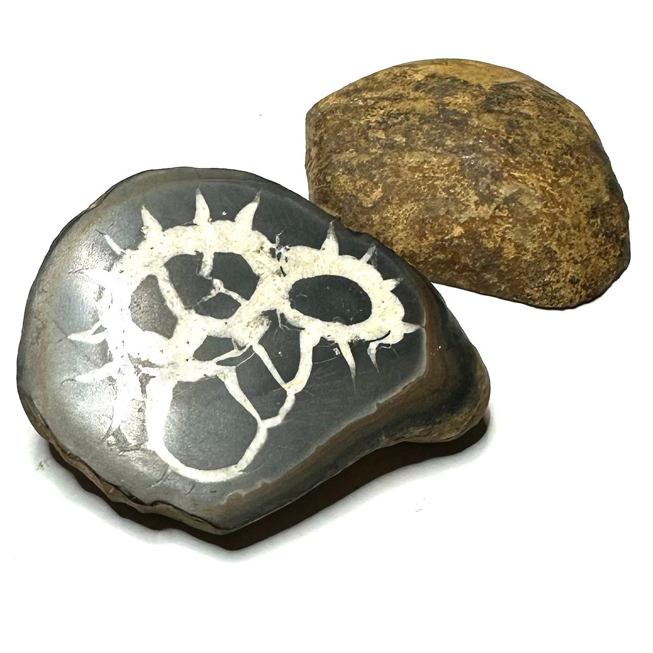 One of a Kind Septarian Nodule Geode "Dragonstone" Pair-59mm (NC5466)