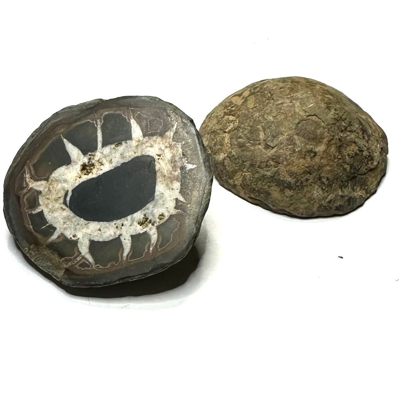 One of a Kind Septarian Nodule Geode "Dragonstone" Pair-38mm-NC5467