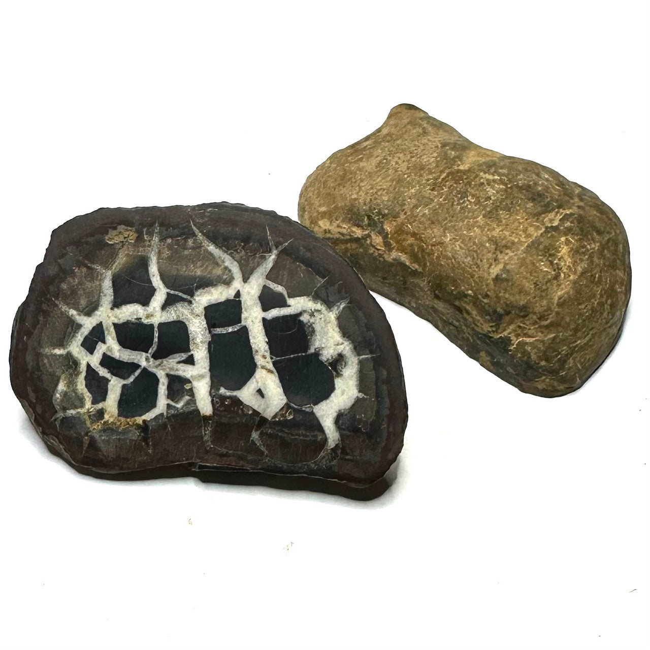 One of a Kind Septarian Nodule Geode "Dragonstone" Pair-45 x 30mm (NC5468)