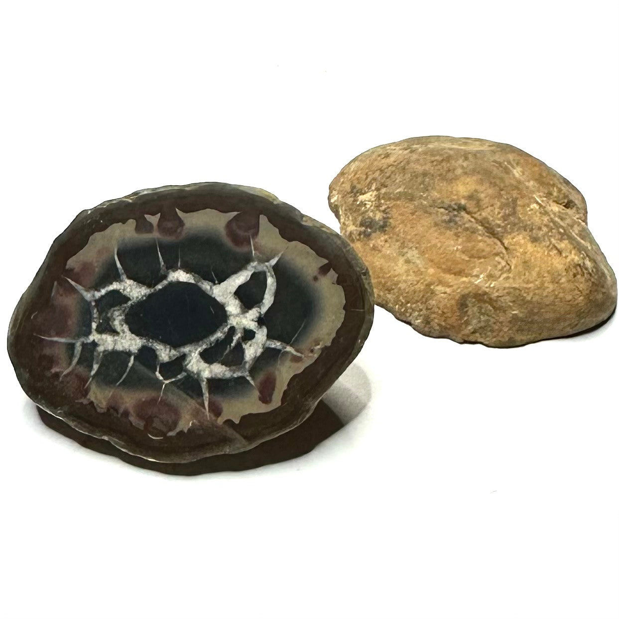 One of a Kind Septarian Nodule Geode "Dragonstone" Pair-42 x 32mm (NC5469)