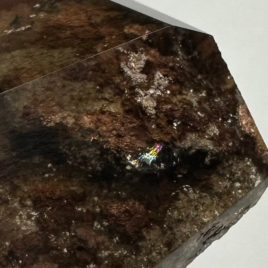 One of a kind Lodalite-Garden Quartz with Rainbow Inclusions Terminated Point Stone-1 1/2 x 1 " (NC5639)
