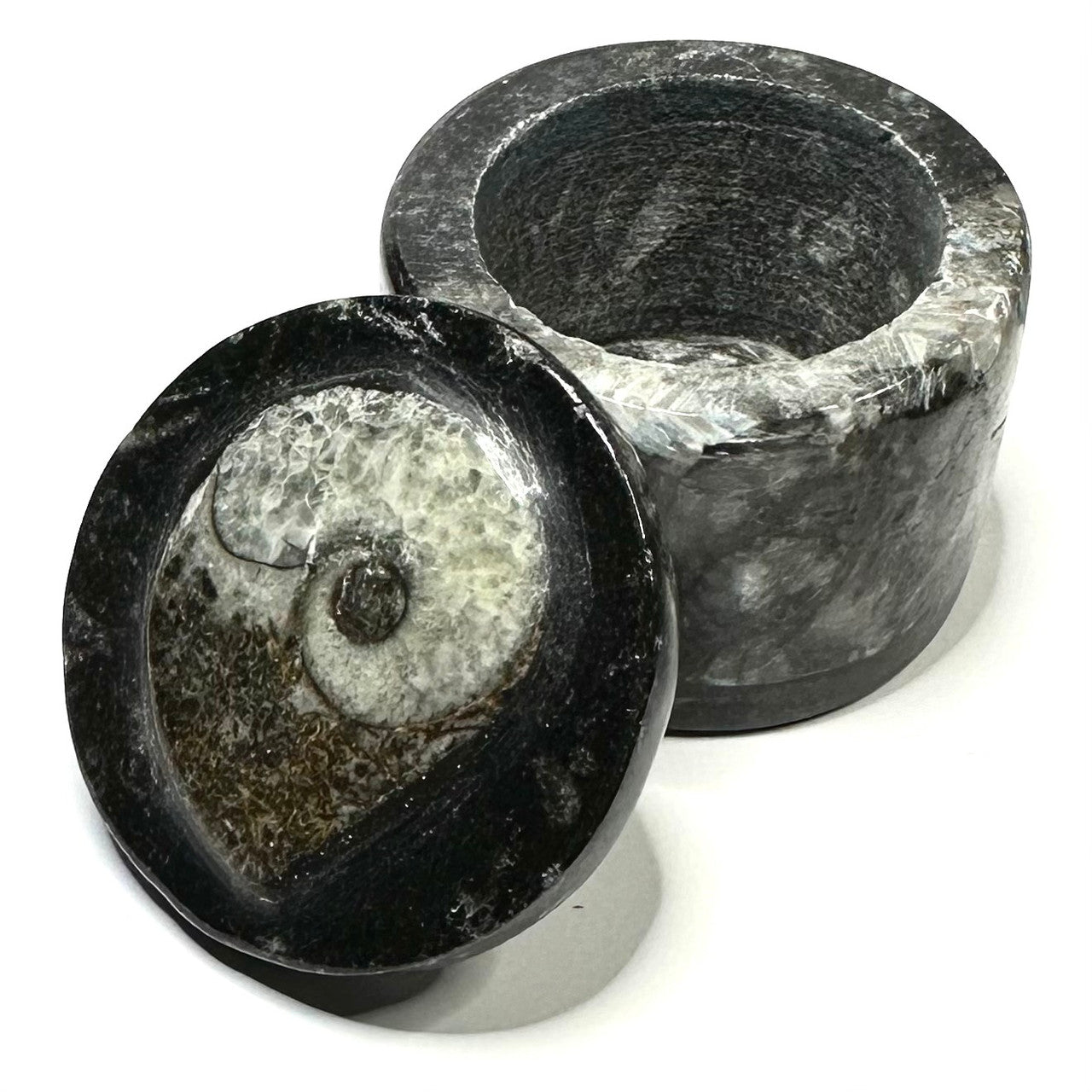 One of a Kind Orthoceras Carved Stone Jar-1 1/2 x 1 3/4"-NC5656 (NC5656)