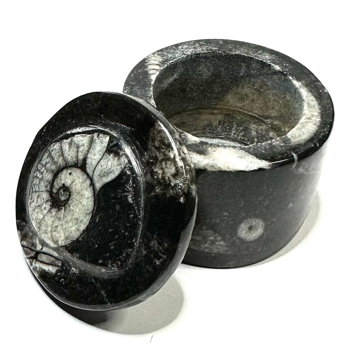 One of a Kind Orthoceras Carved Stone Jar-1 1/2 x 1 3/4"-NC5657 (NC5657)