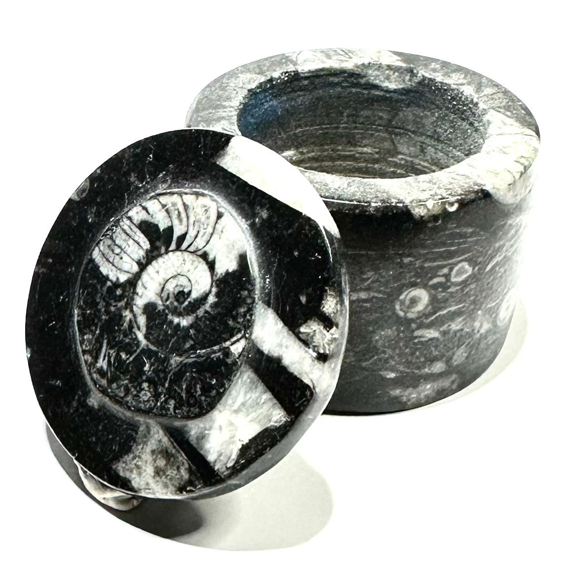 One of a Kind Orthoceras Carved Stone Jar-1 1/2 x 1 3/4"-NC5662 (NC5662)