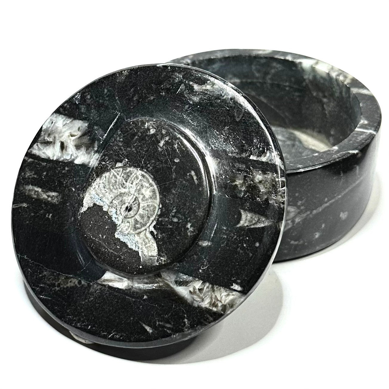 One of a Kind Orthoceras Carved Stone Jar-Large-3 1/2 x 1 3/4"-NC5665 (NC5665)