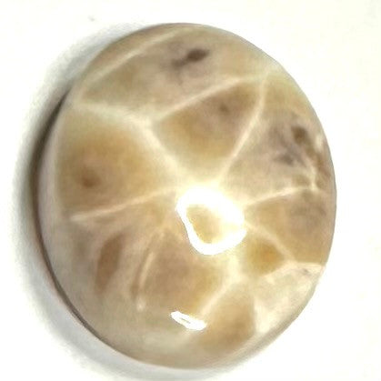 One of a Kind Thomsonite Cabochon-20 x 16 x 6mm