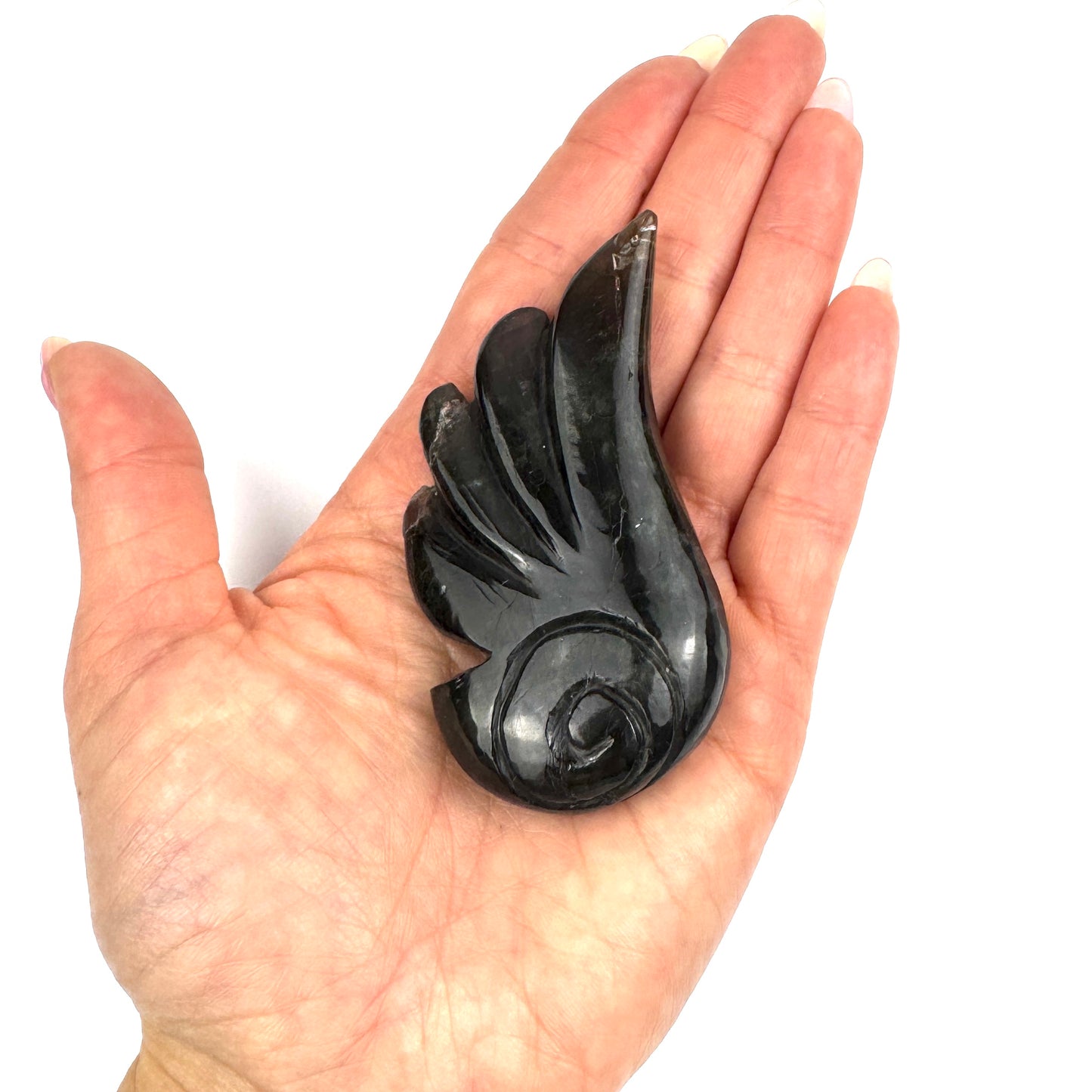 Master Carved Labradorite Angel Wing #222 3 1/8 x 1 1/2" - NC7669